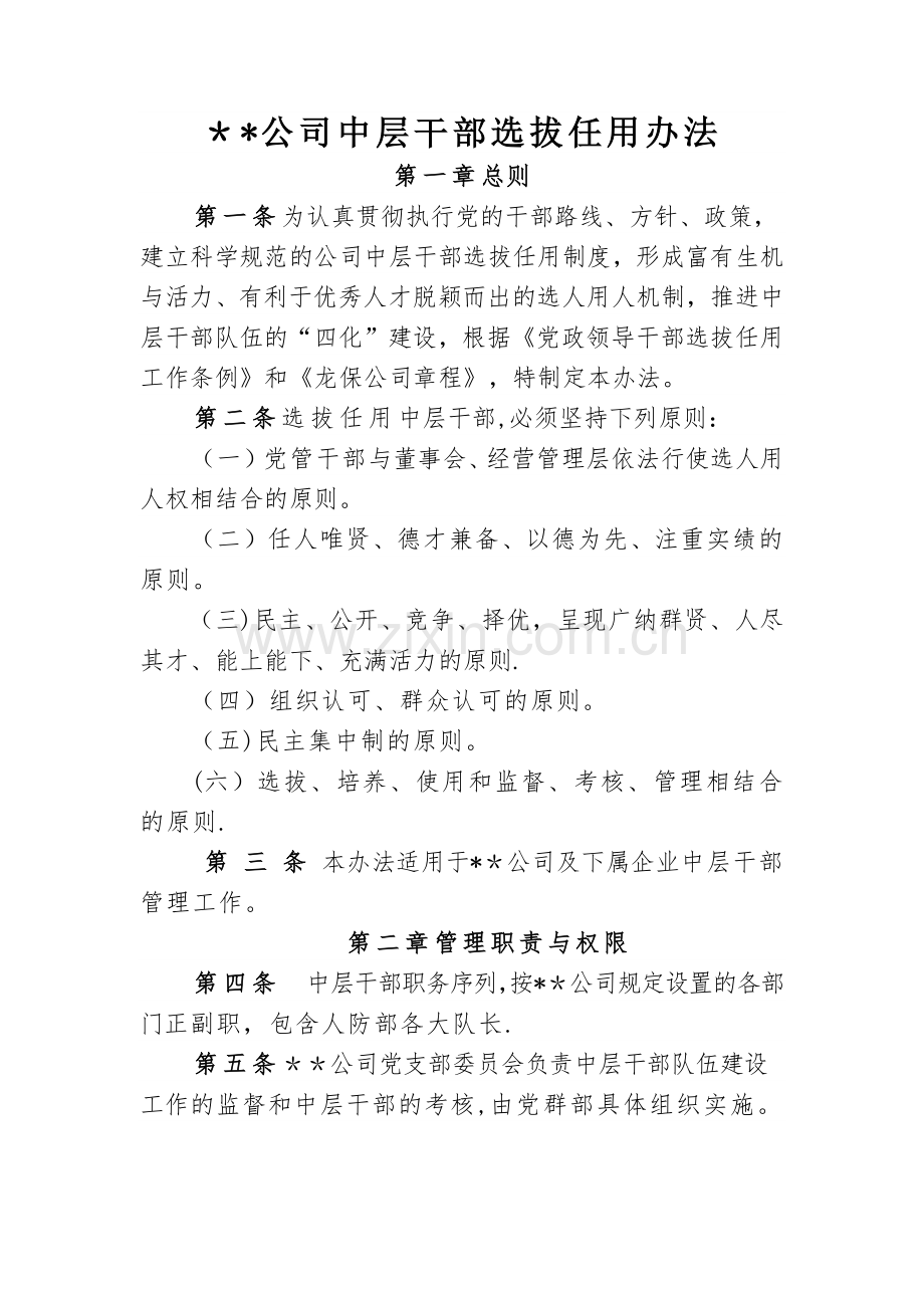 中层干部选拔任用办法.docx_第1页