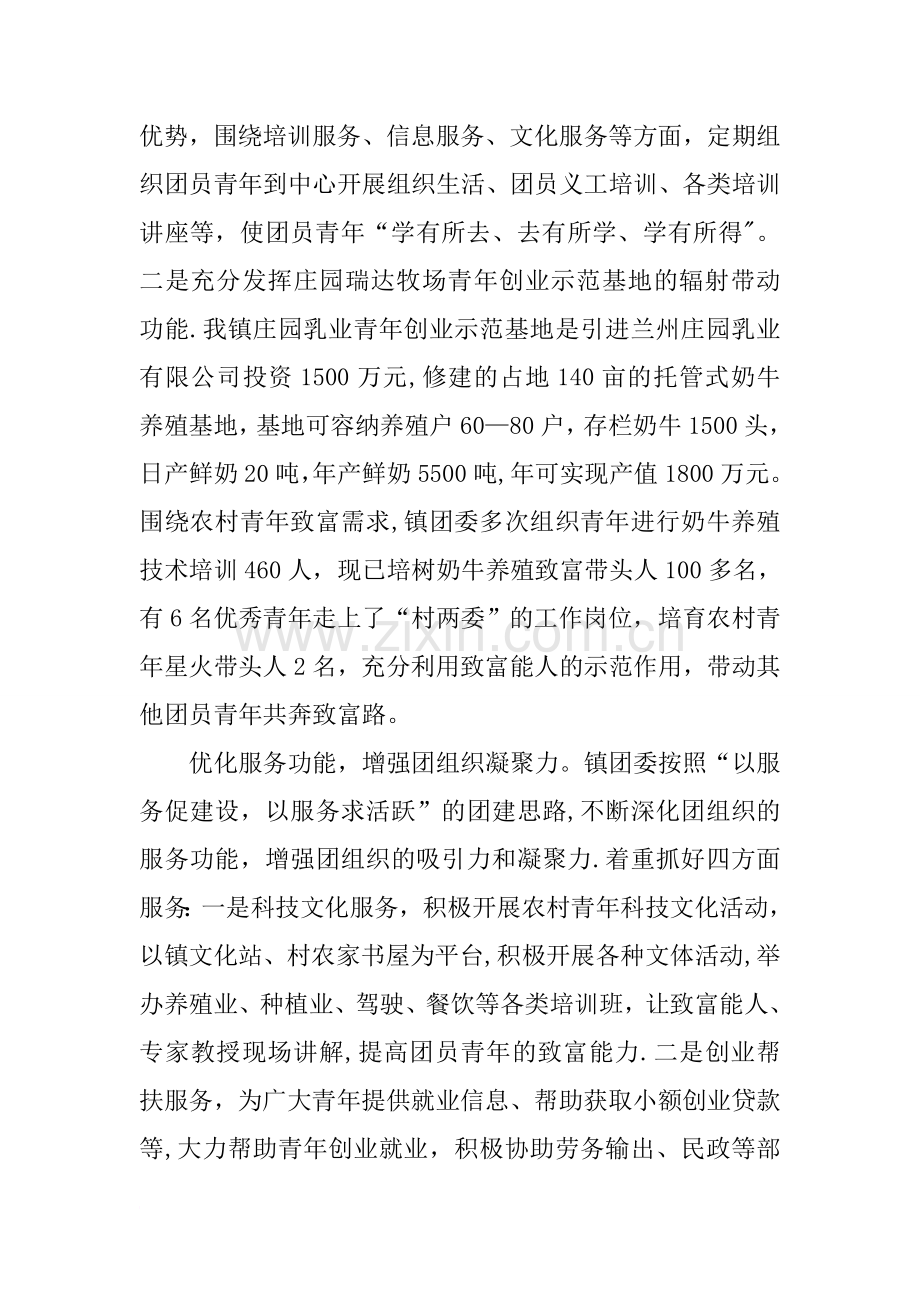 乡镇团组织建设汇报材料.docx_第3页