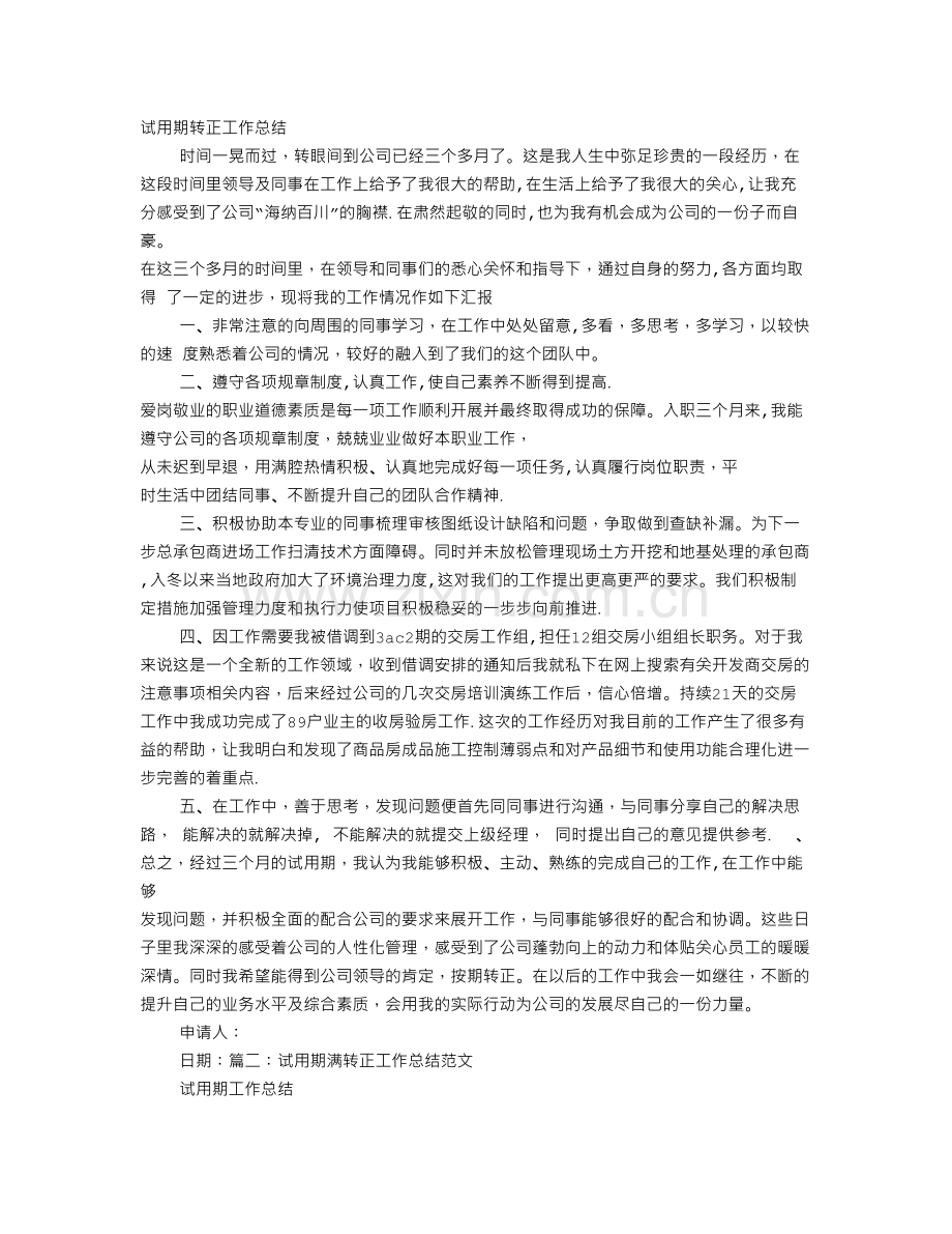 主管试用期转正工作总结.doc_第1页