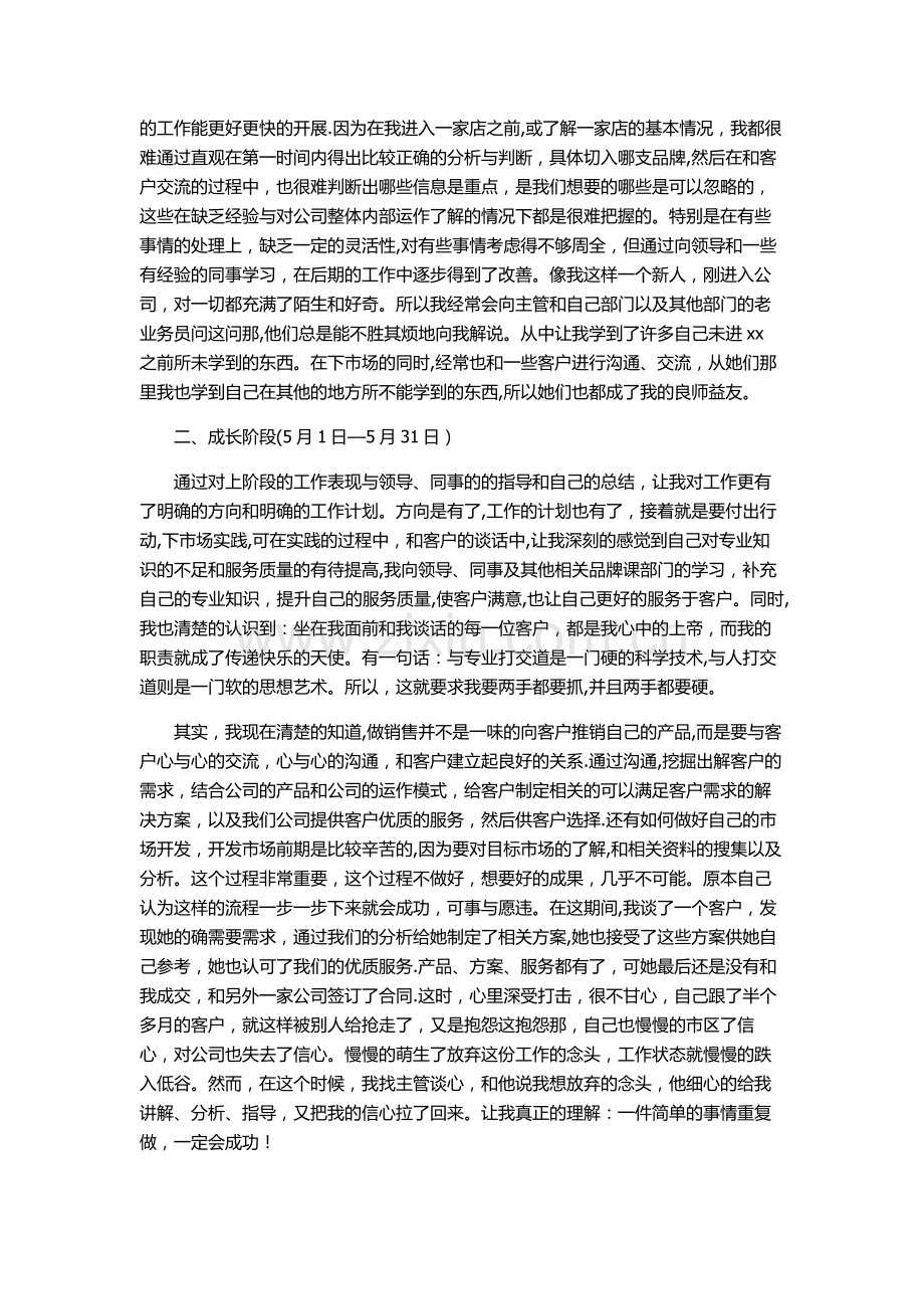 业务员年度工作总结剖析.doc_第3页