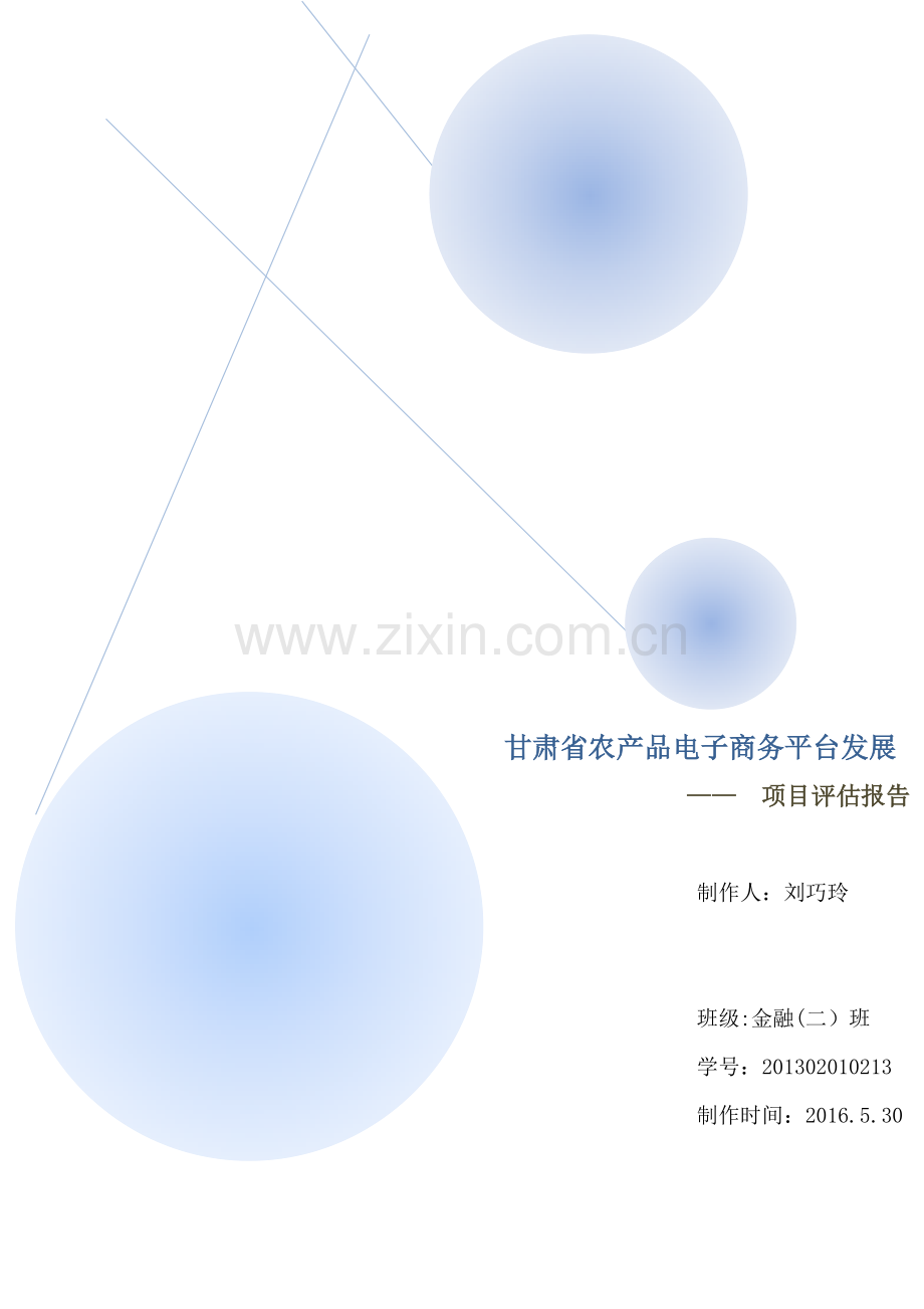 甘肃省发展农村电子商务的可行性分析报告.doc_第1页