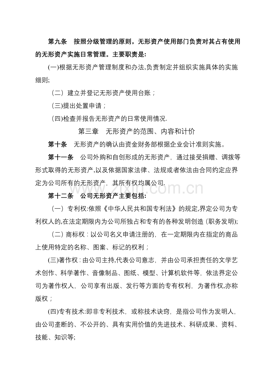 无形资产管理办法.docx_第3页