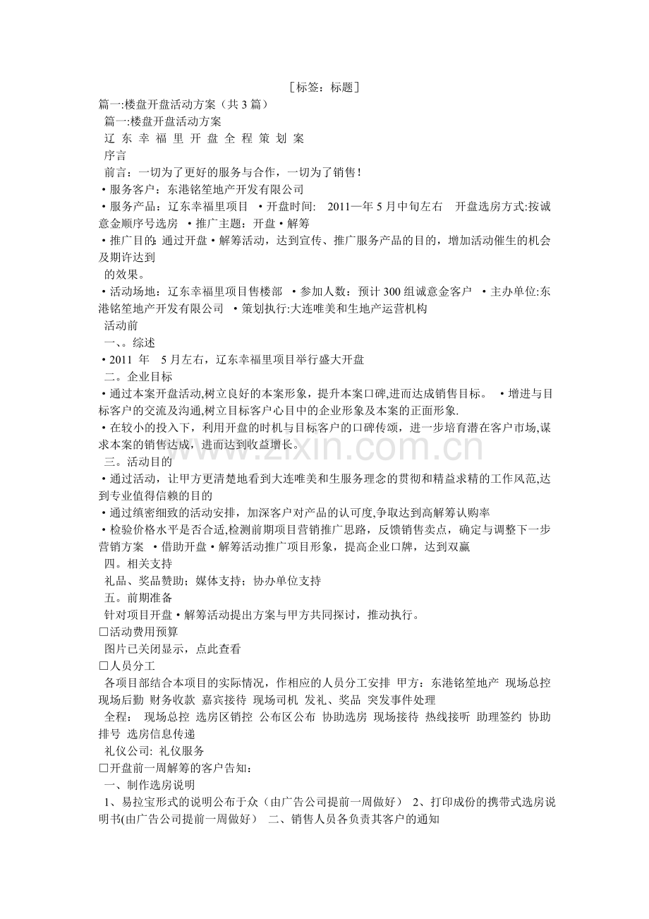 楼盘正式开盘策划方案.doc_第1页