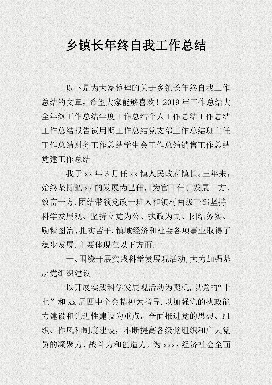 乡镇长年终自我工作总结..doc_第1页