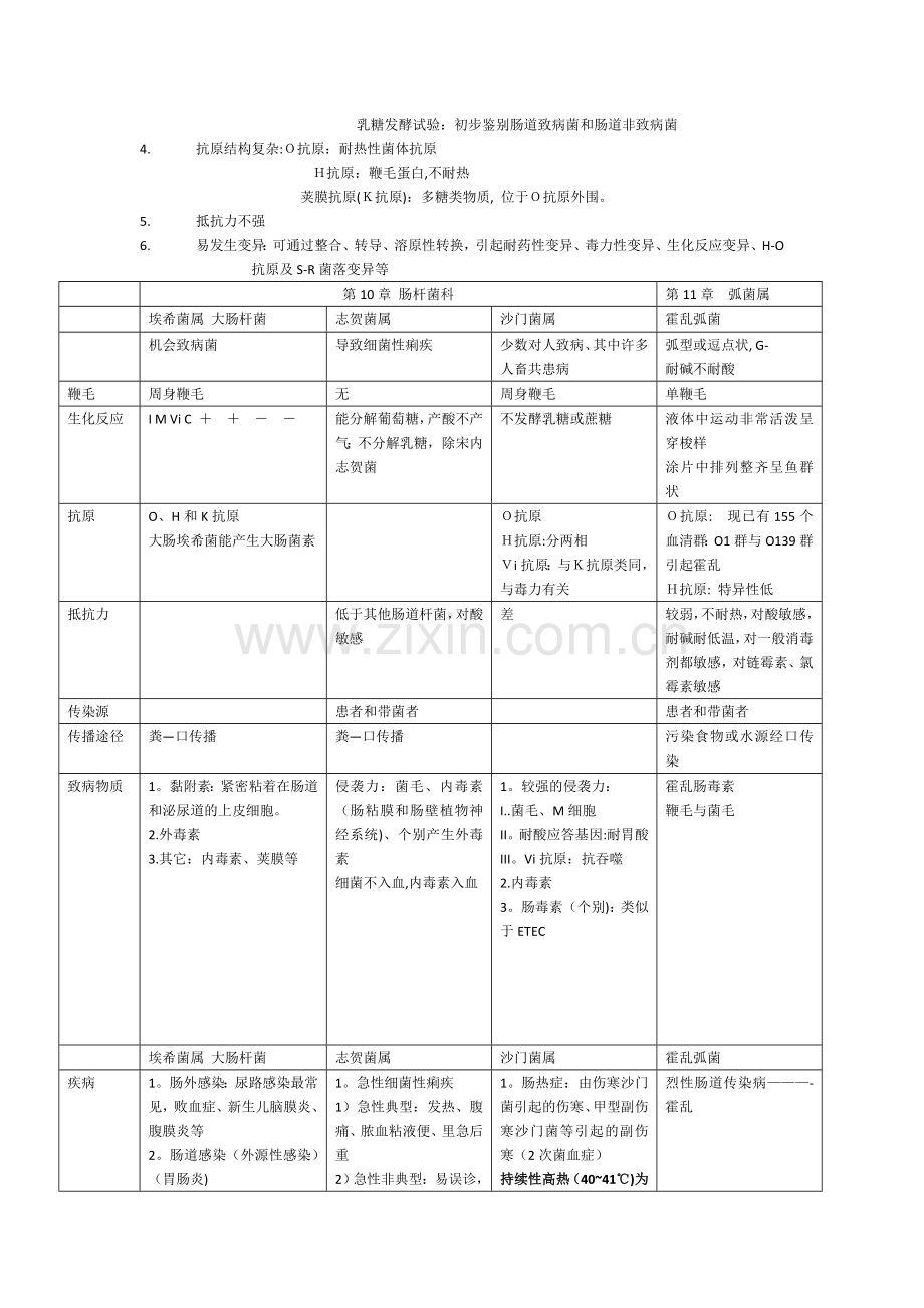 细菌比较表格.doc_第3页