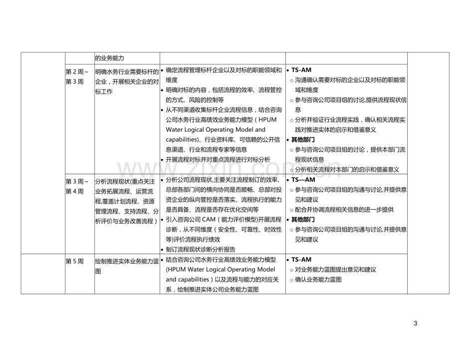 流程管理推进工作计划.doc_第3页