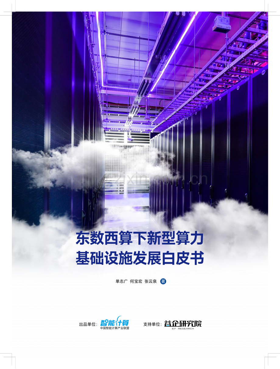 东数西算下新型算力基础设施发展白皮书.pdf_第1页