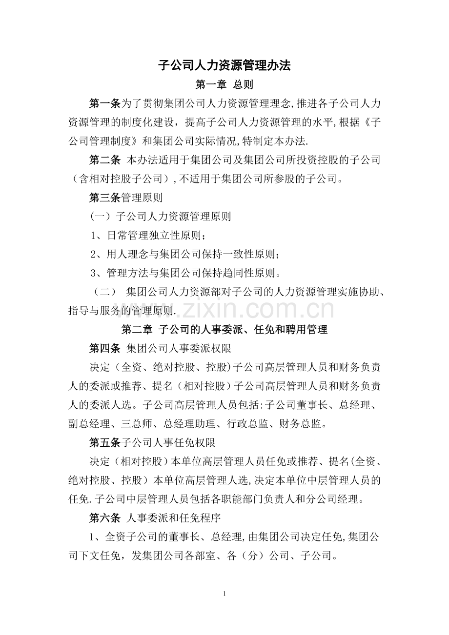 子公司人力资源管理办法.doc_第1页