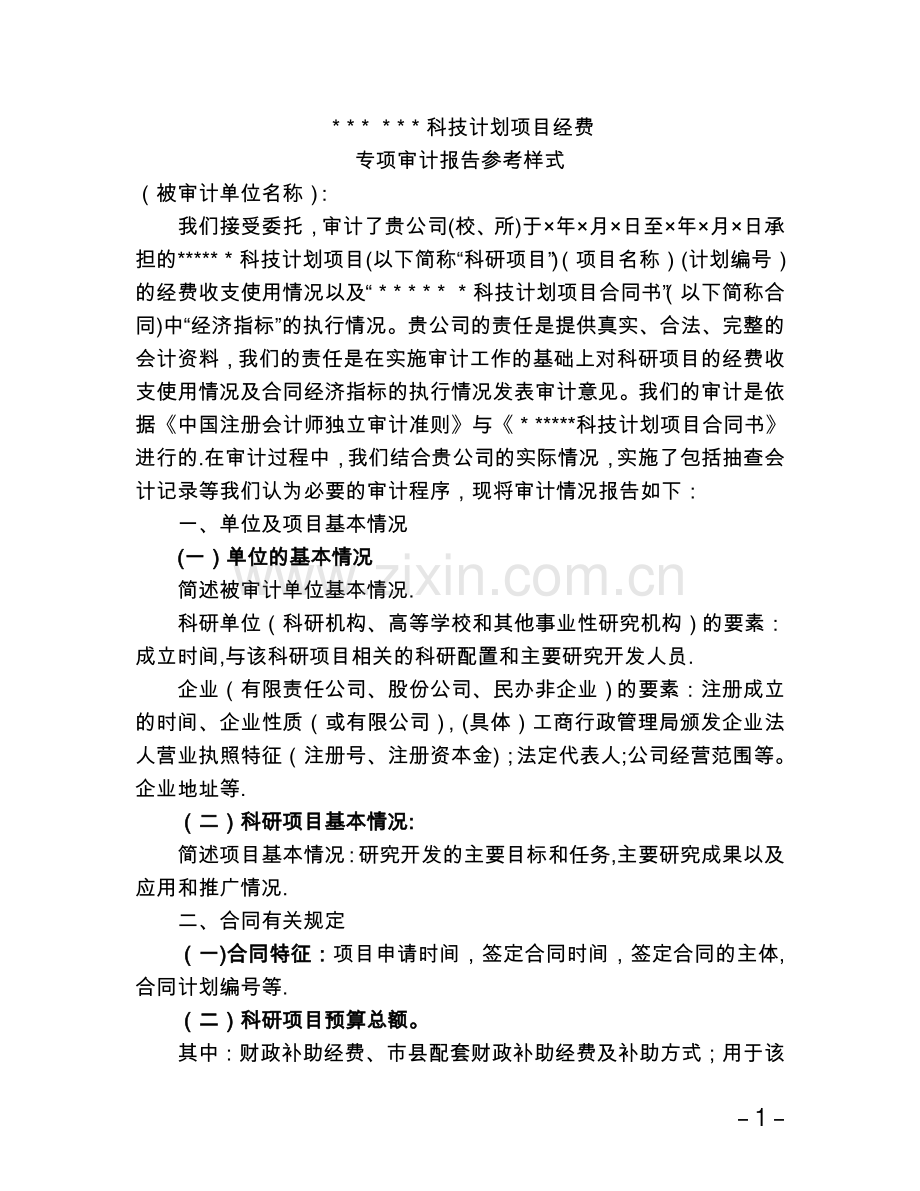 科技计划项目经费专项审计报告格式.doc_第1页