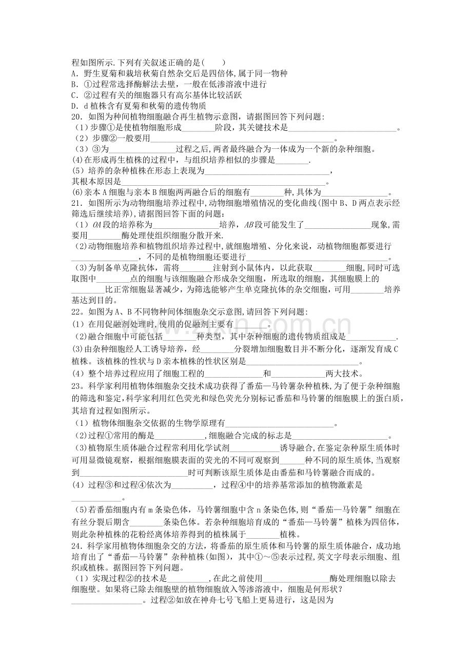 细胞工程章末检测附答案.doc_第3页