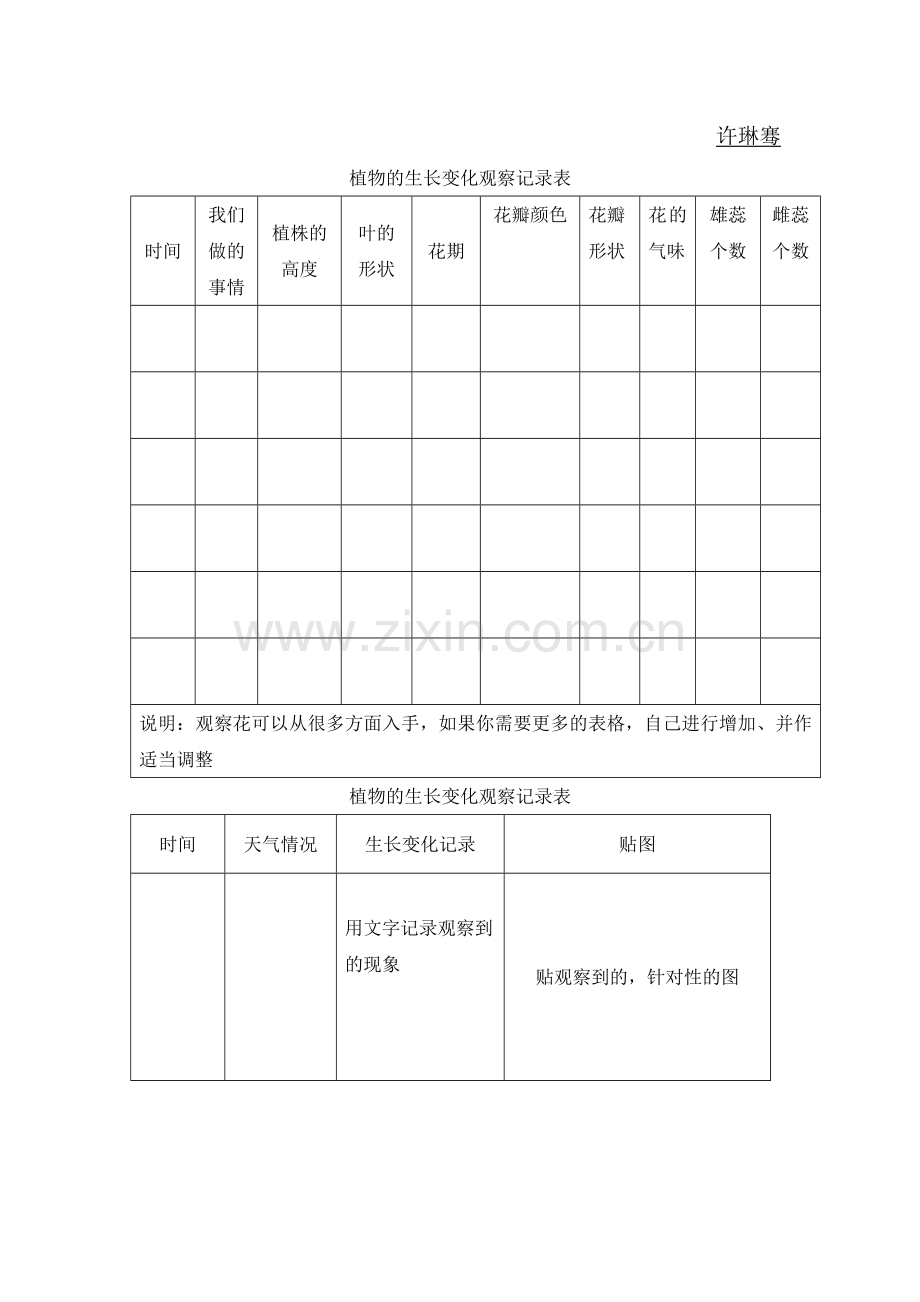 植物的生长变化观察记录表.doc_第1页