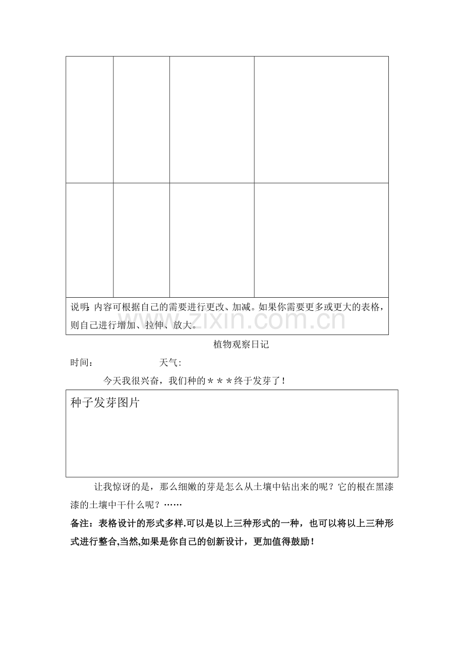 植物的生长变化观察记录表.doc_第2页