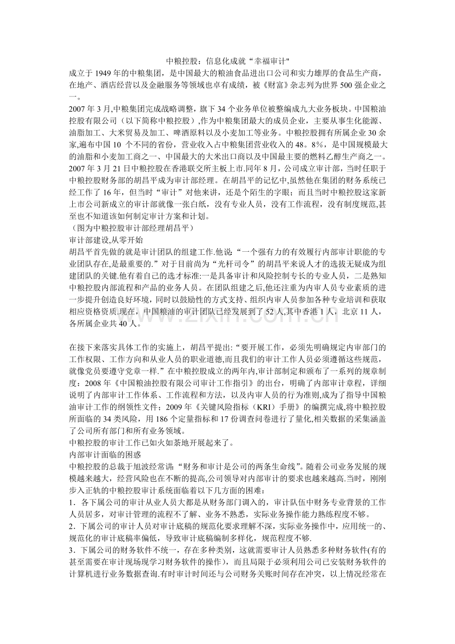 中粮控股审计信息化案例.doc_第1页