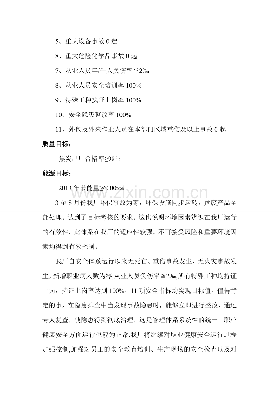 管理体系运行情况报告.doc_第3页