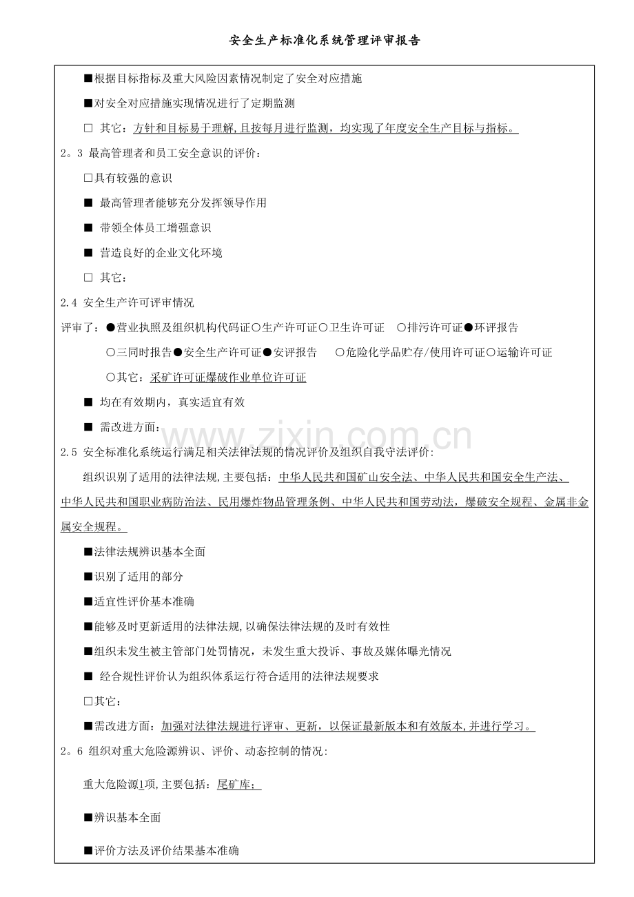 安全标准化系统管理评审报告.doc_第3页
