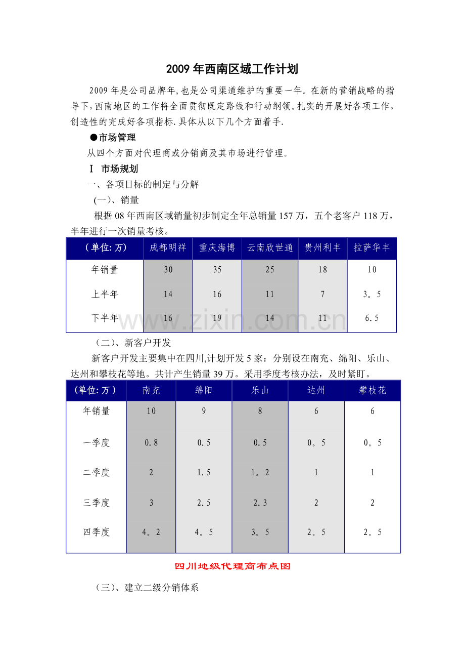 大区经理年度市场营销计划.doc_第1页