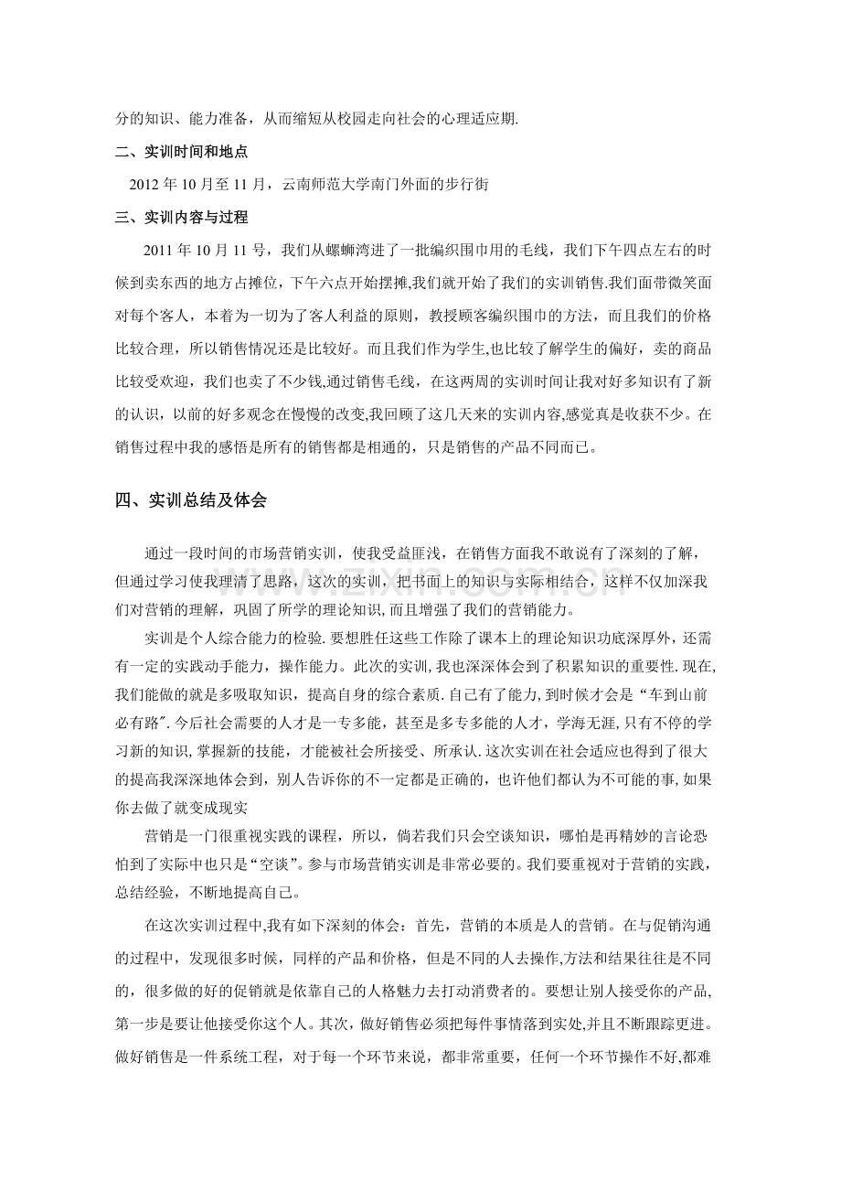 市场营销实训学习总结.doc_第2页