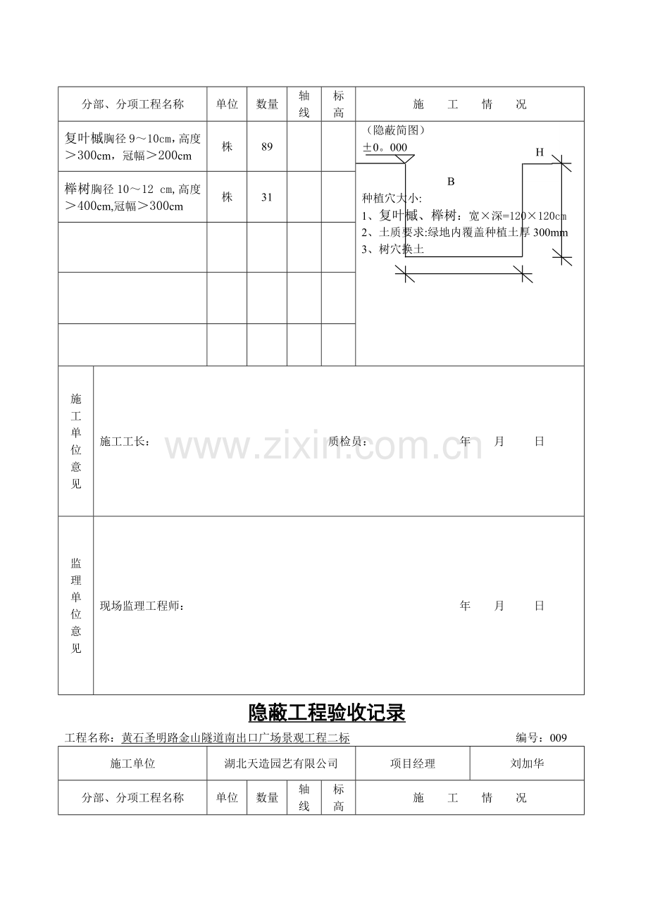 树穴隐蔽工程验收记录.doc_第3页