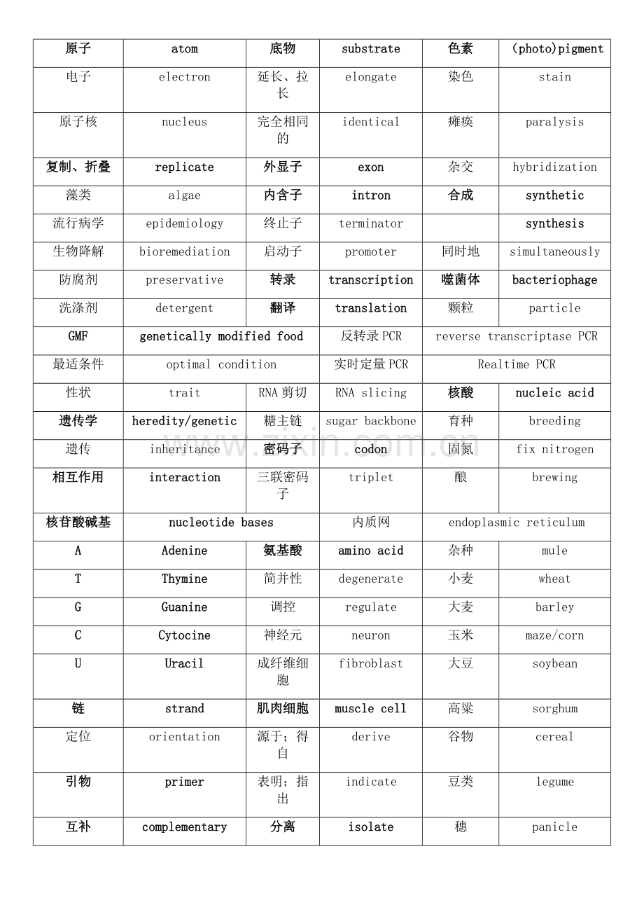 生物工程专业英语单词.doc_第2页