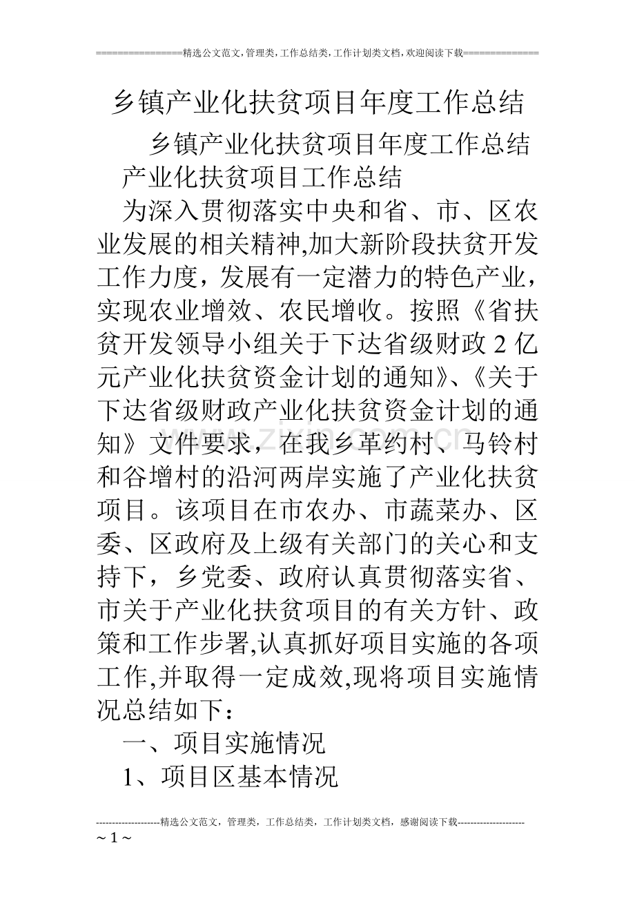 乡镇产业化扶贫项目年度工作总结.doc_第1页