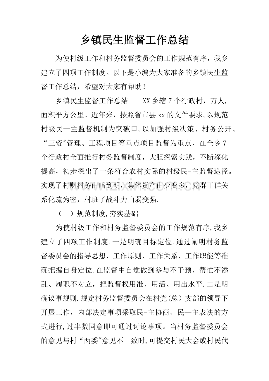 乡镇民生监督工作总结.docx_第1页