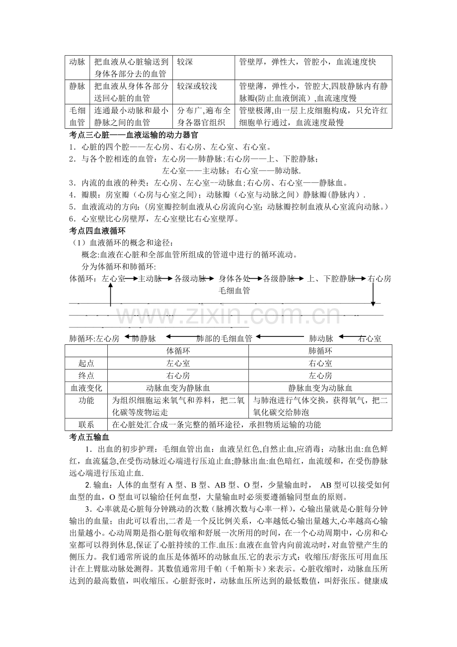 七年级生物知识点思维导图.doc_第3页