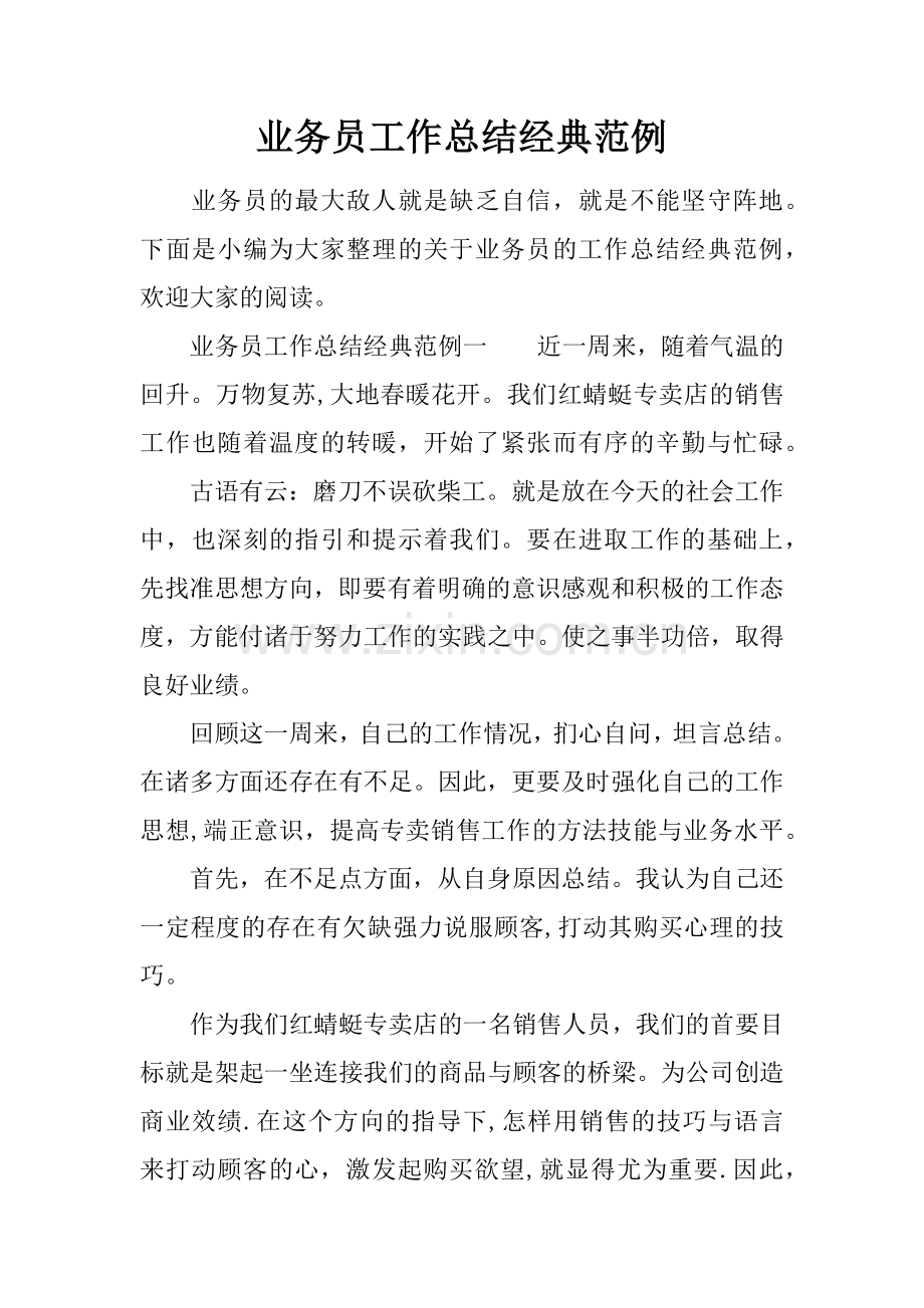 业务员工作总结经典范例.docx_第1页