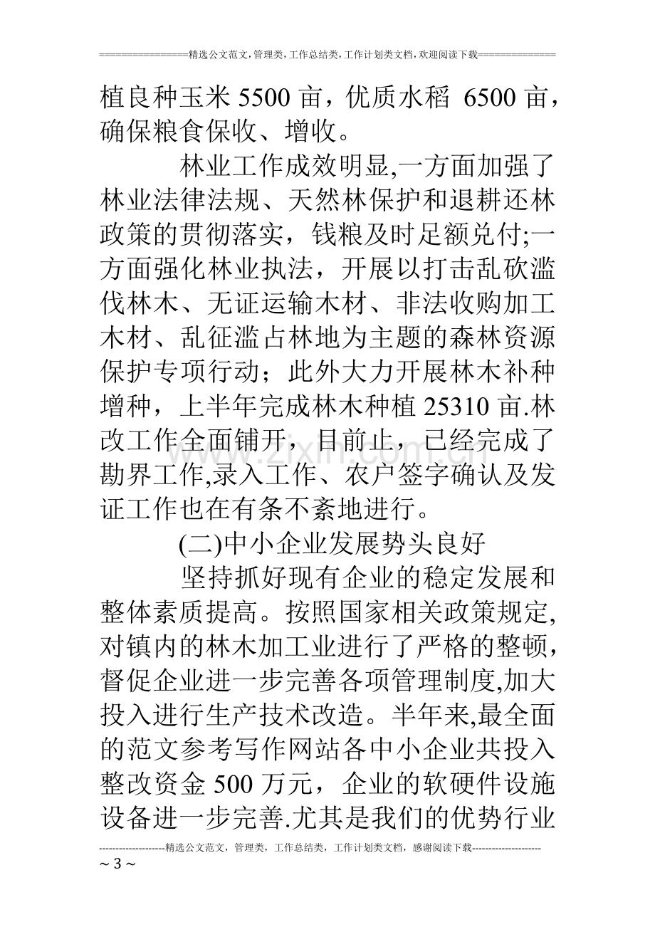 乡镇重点项目工作总结.doc_第3页