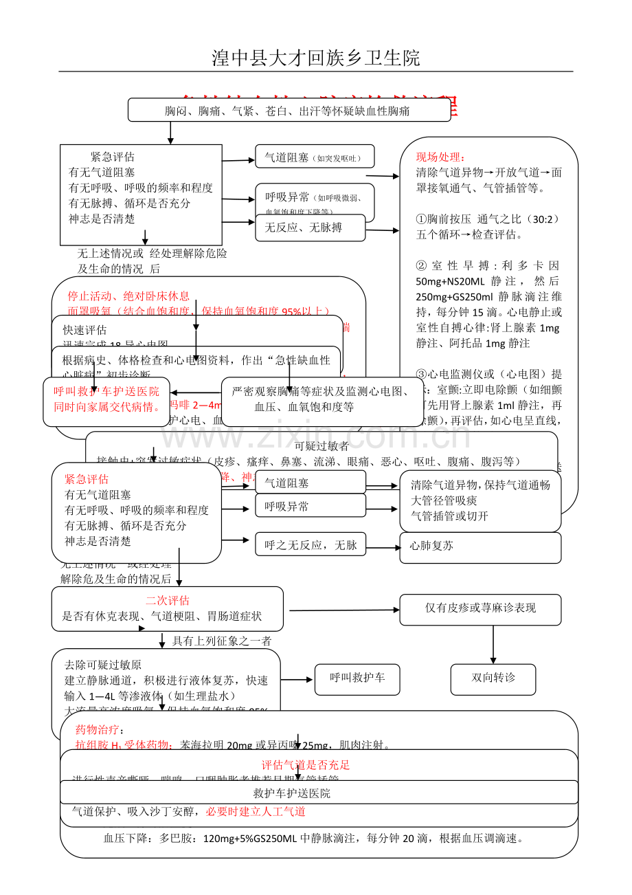 新12种急诊抢救流程图2.doc_第1页