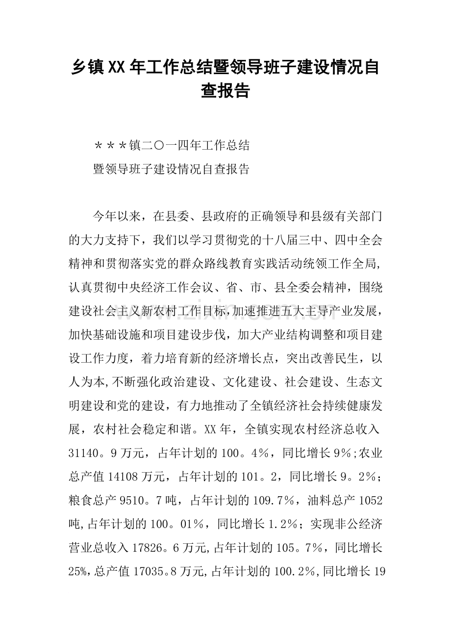 乡镇XX年工作总结暨领导班子建设情况自查报告.docx_第1页