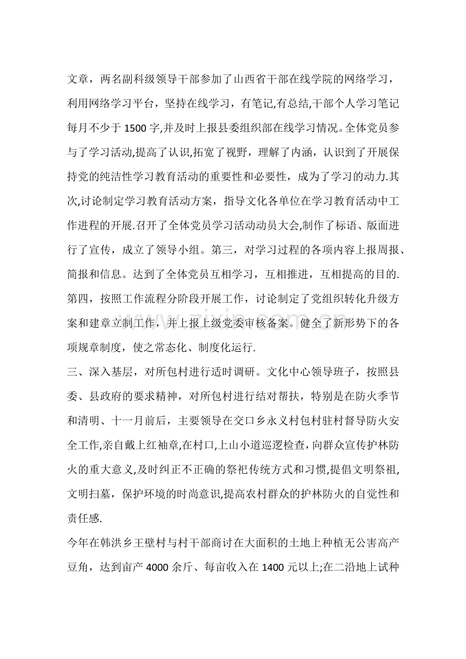 乡镇文化服务中心工作总结.docx_第2页