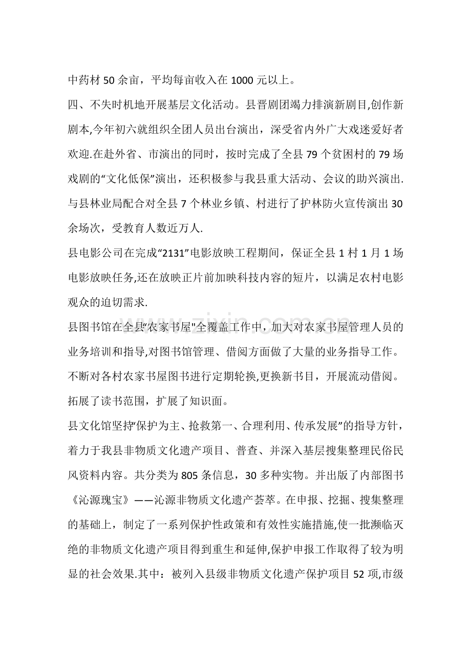 乡镇文化服务中心工作总结.docx_第3页