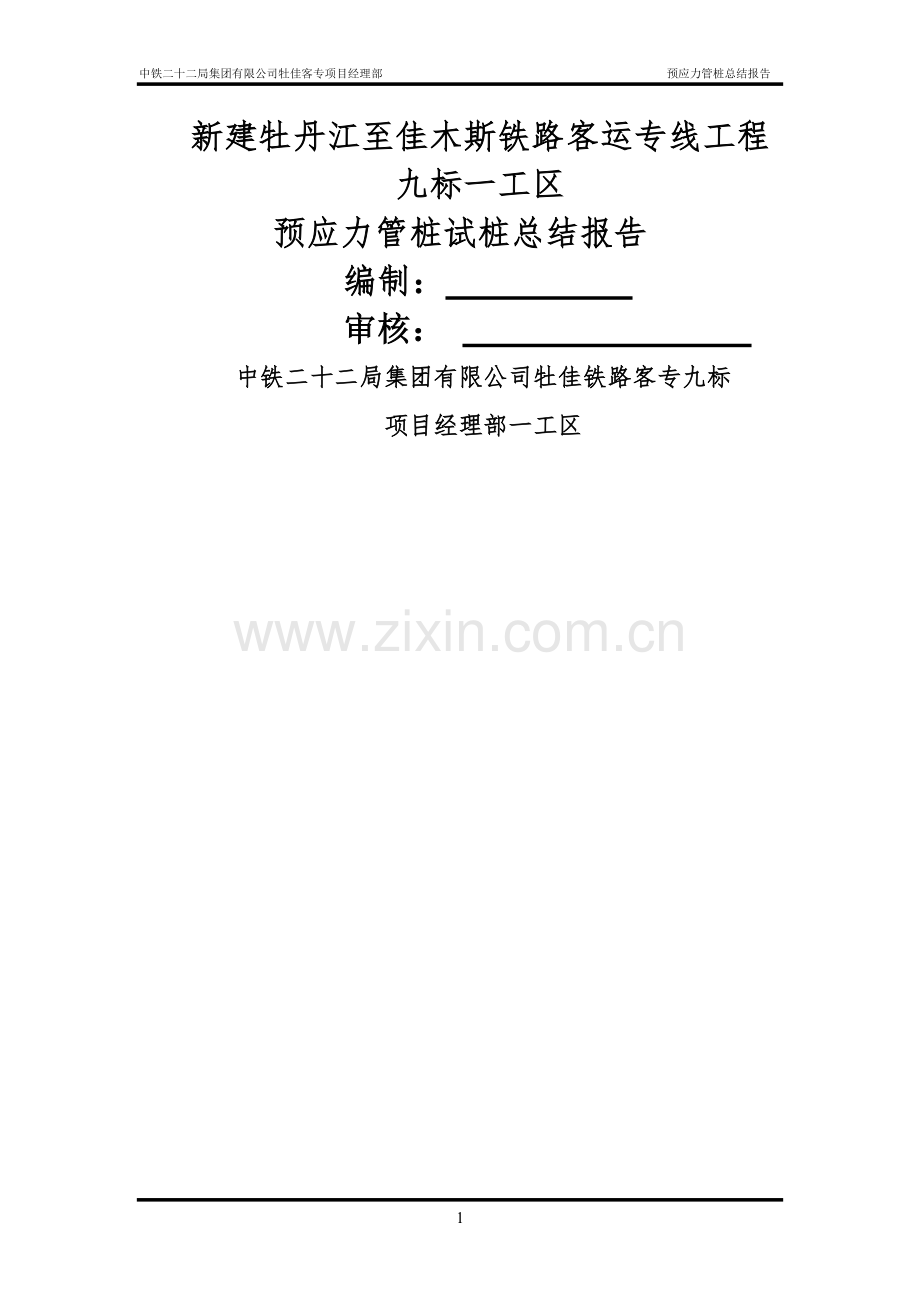 管桩总结报告.doc_第1页