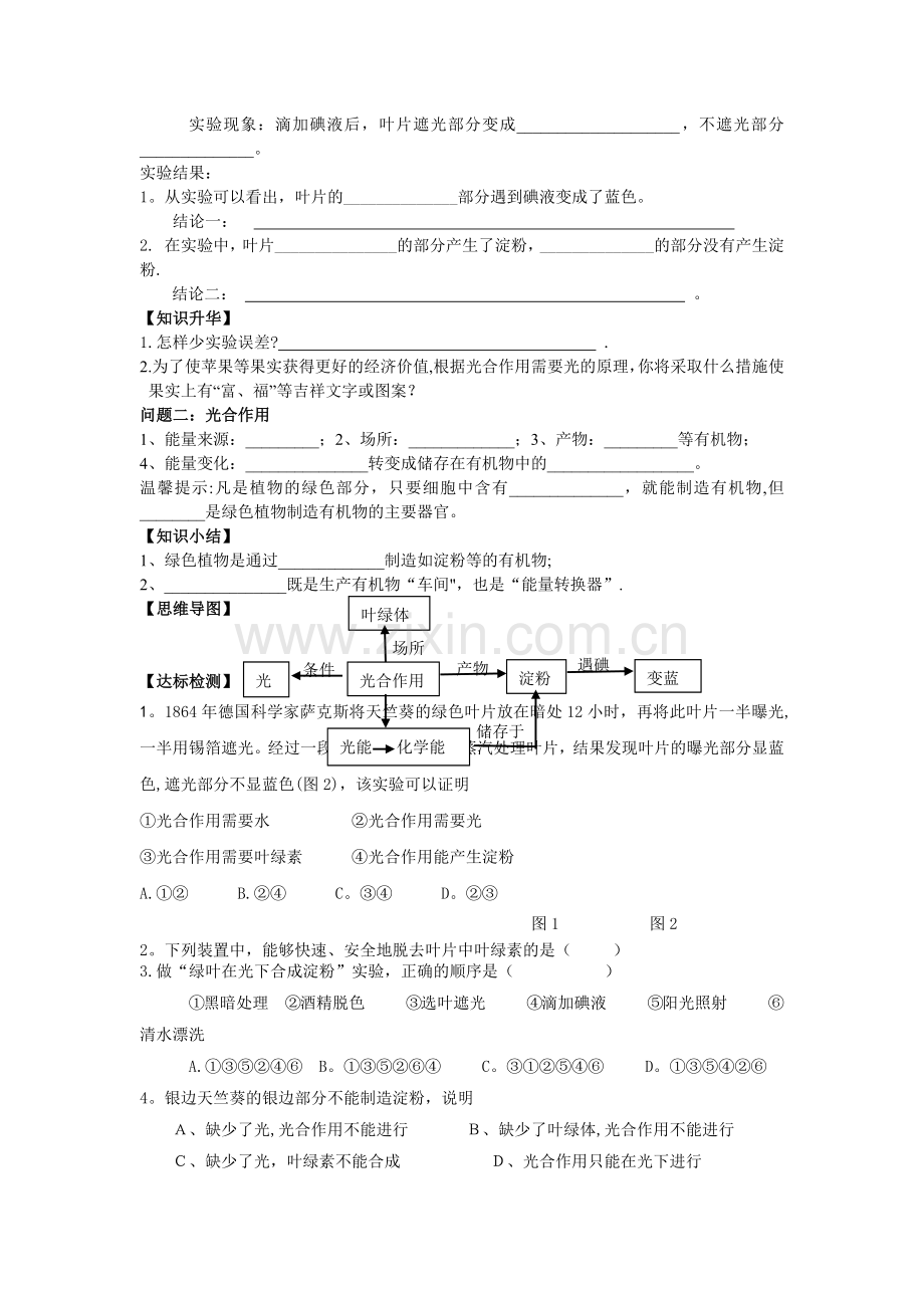 第四章--绿色植物是生物圈中有机物的制造者的教案.doc_第2页