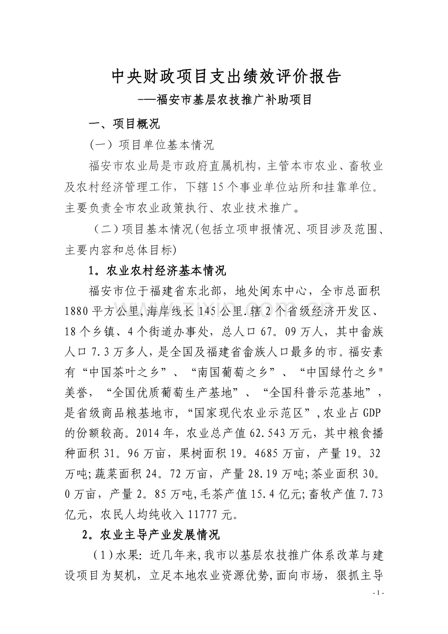 中央财政项目支出绩效评价报告.doc_第1页