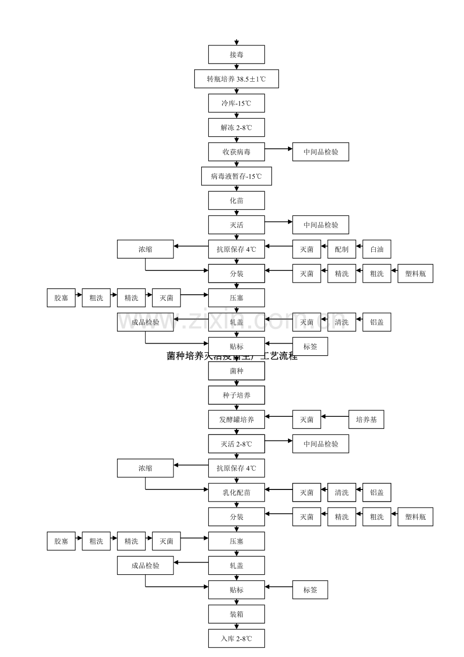 疫苗生产工艺流程图.doc_第2页