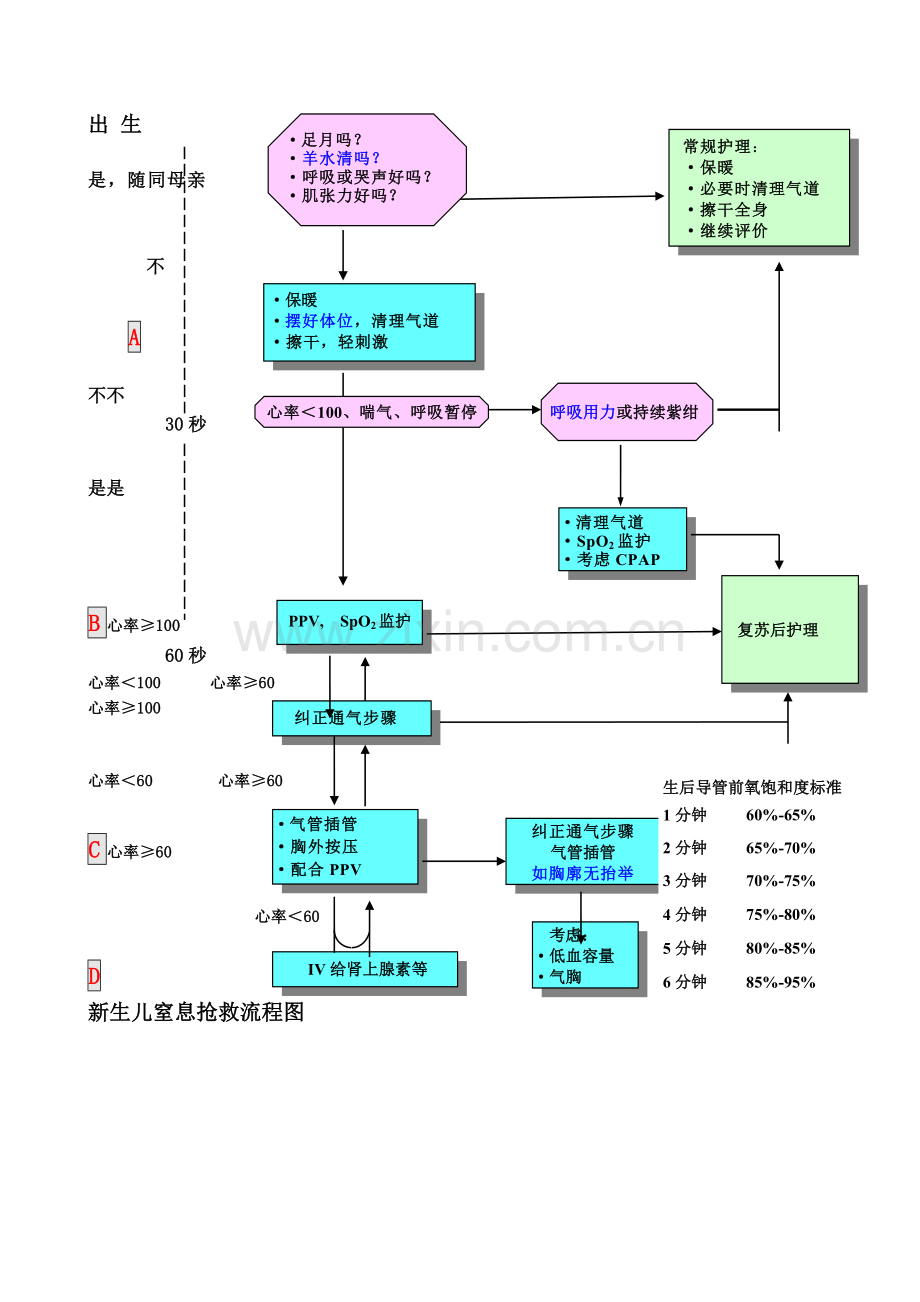 新生儿窒息抢救流程图.doc_第1页