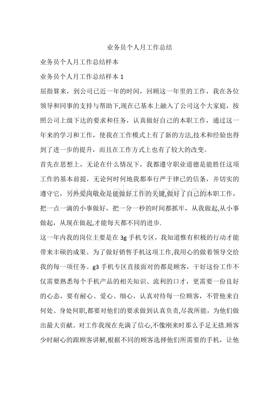 业务员个人月工作总结.docx_第1页