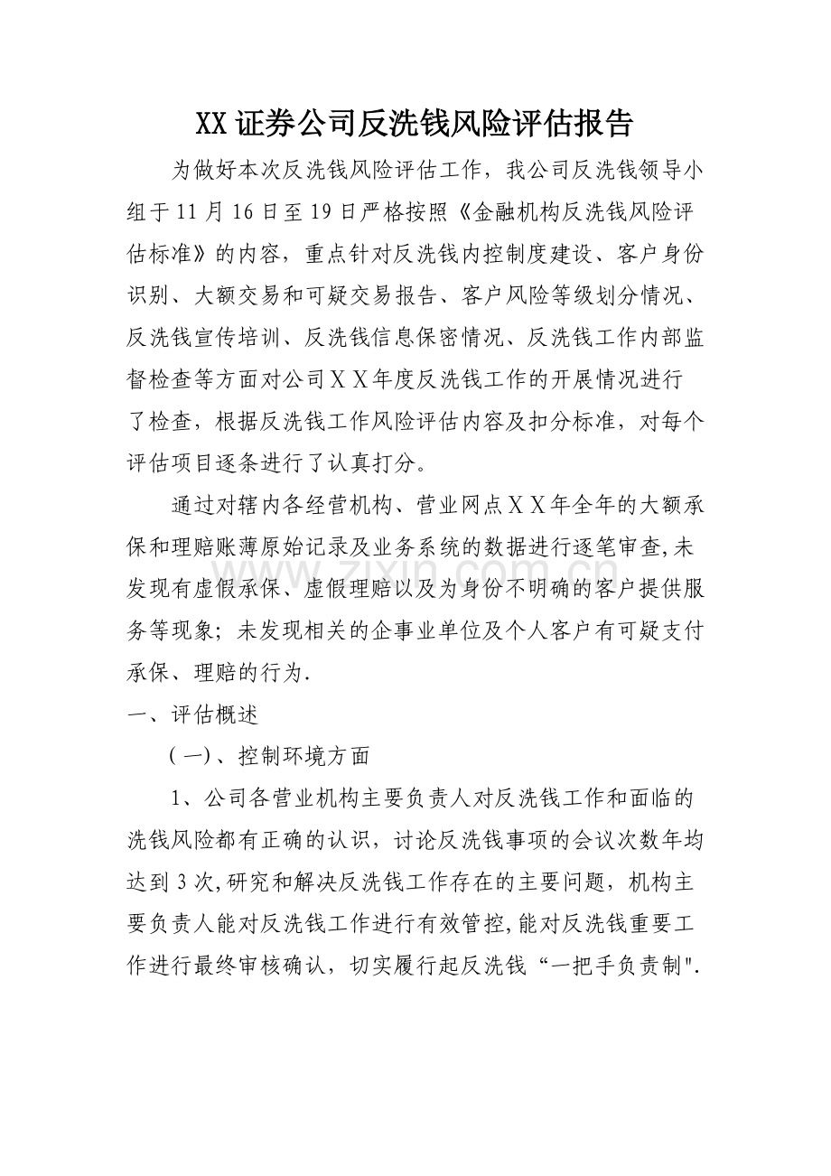 证券公司反洗钱风险评估报告.docx_第1页