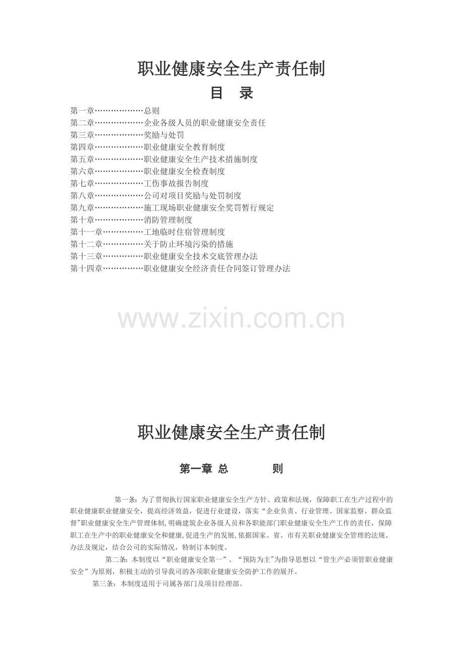 职业健康安全生产责任制.docx_第1页