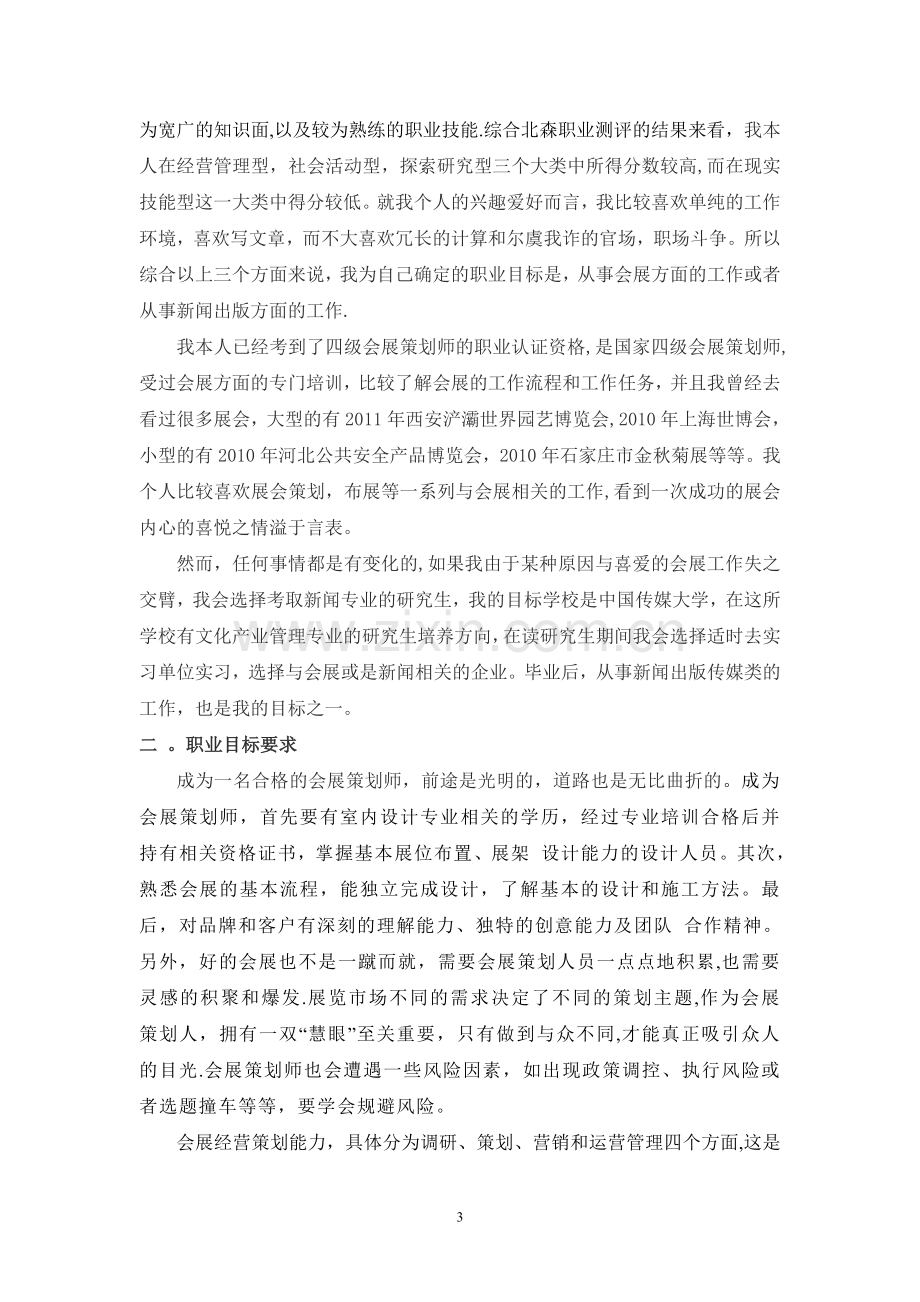 自我职业化行动计划.doc_第3页