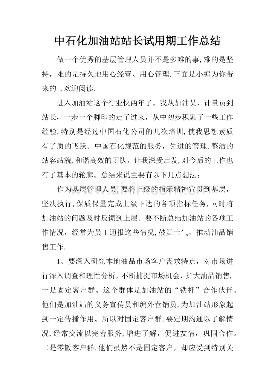 中石化加油站站长试用期工作总结.docx_第1页