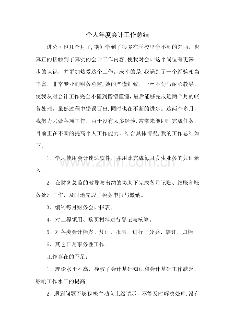 实习生个人年度会计工作总结.doc_第1页