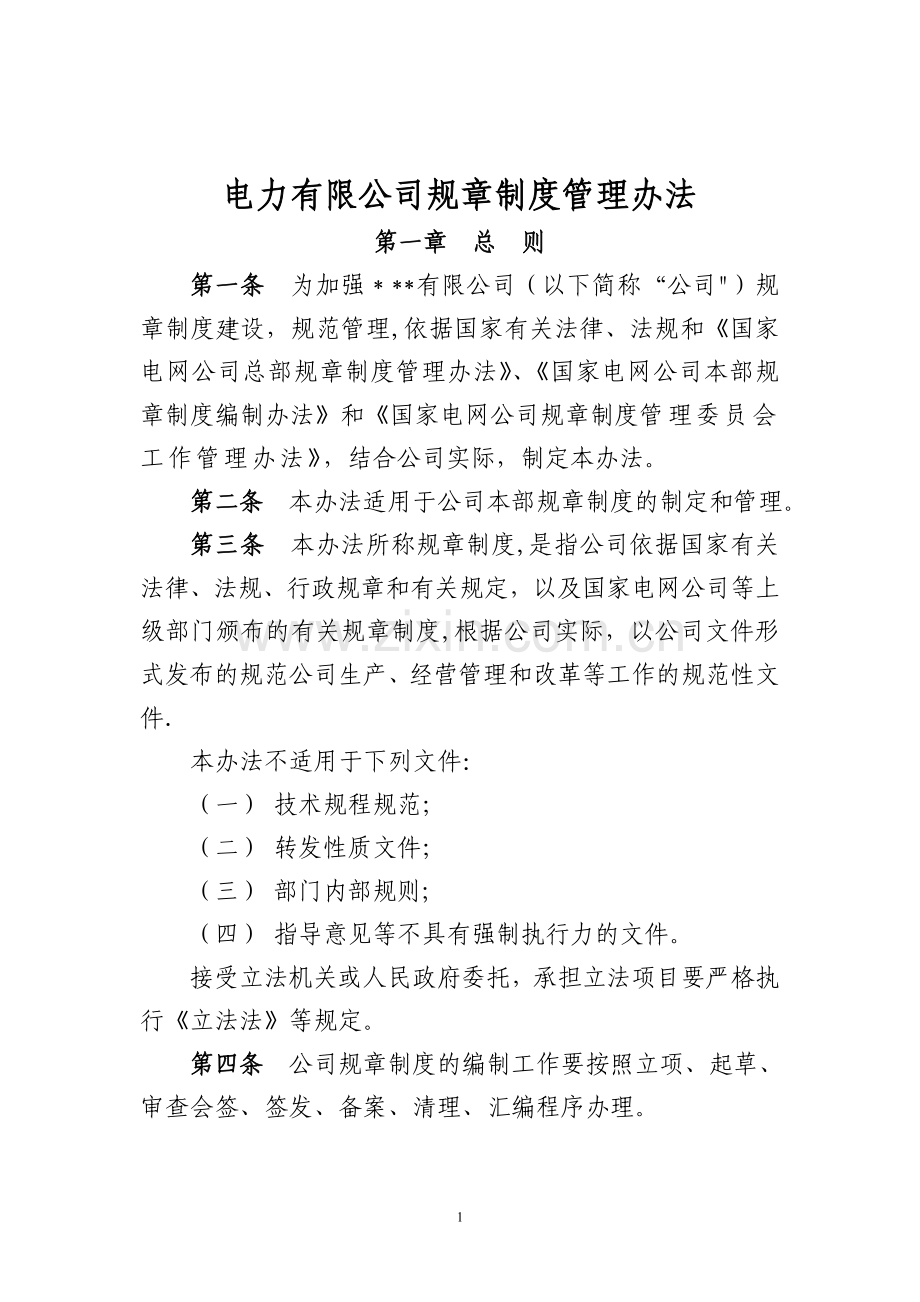 电力有限公司规章制度管理办法.doc_第1页