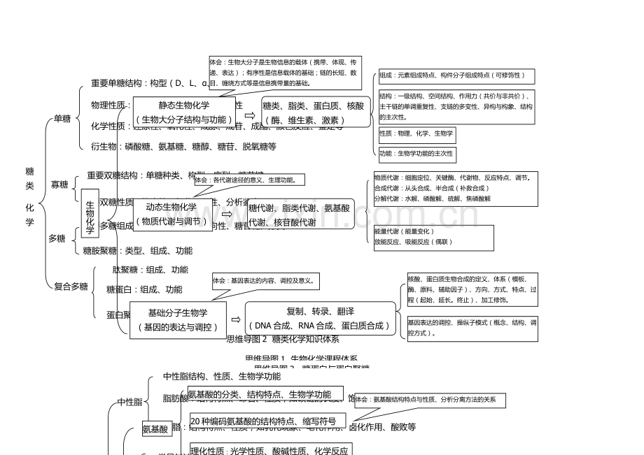 生物化学思维导图-大学生物化学思维导图.doc_第1页