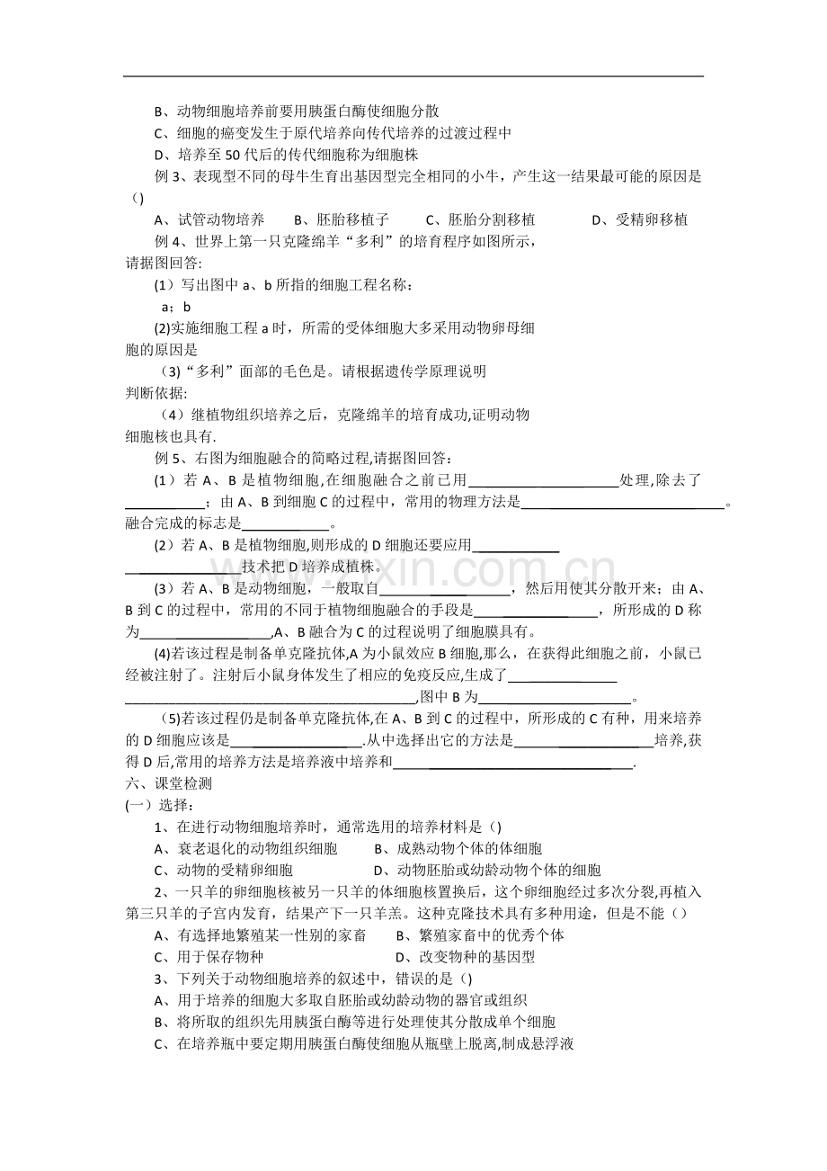 新课标高中生物选修三2.2动物细胞工程导学案.doc_第3页