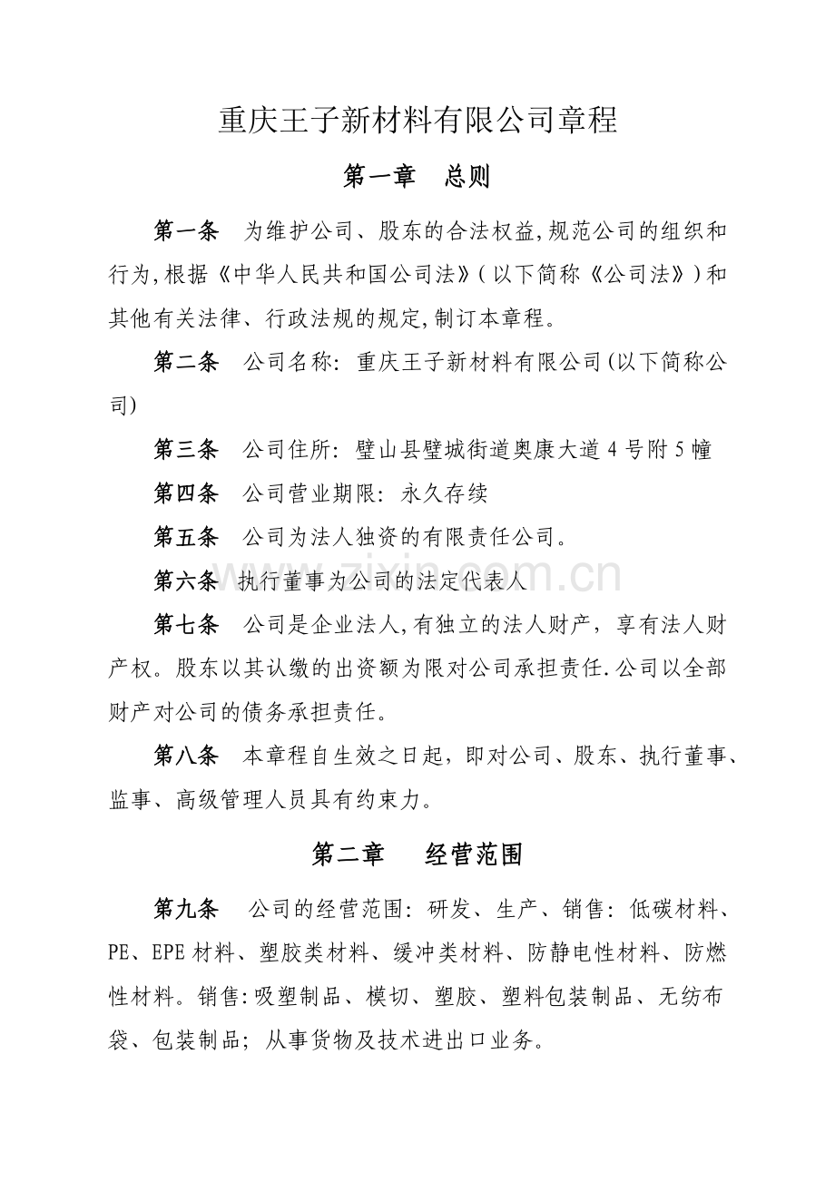 一人有限责任公司章程(不设董事会、监事会-只设执行董事、监事).doc_第1页