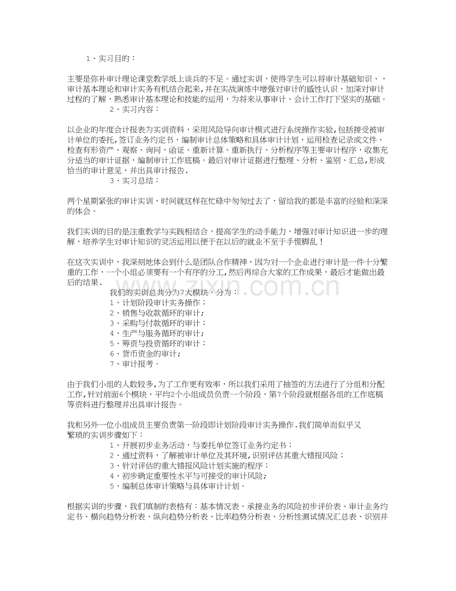 大学生审计实习报告总结.doc_第1页