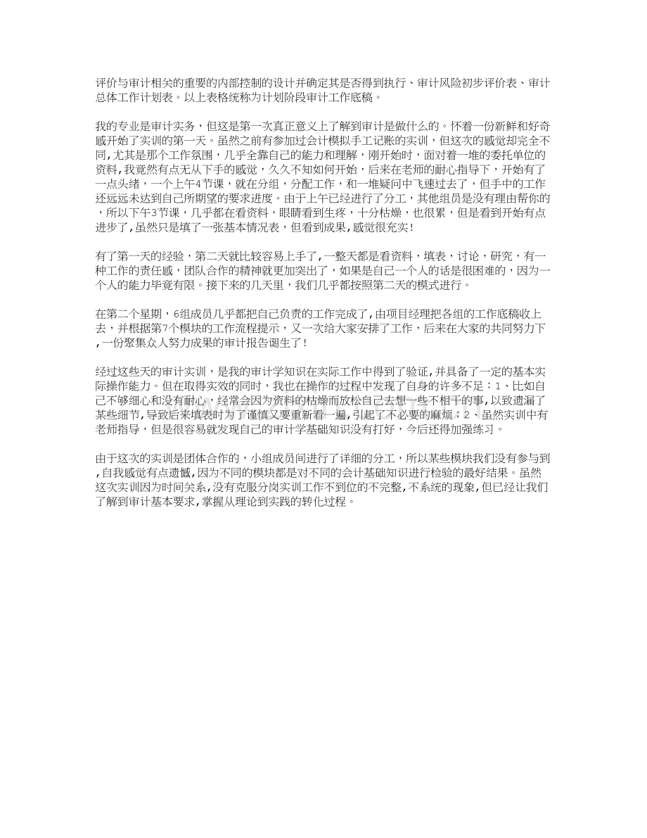 大学生审计实习报告总结.doc_第2页