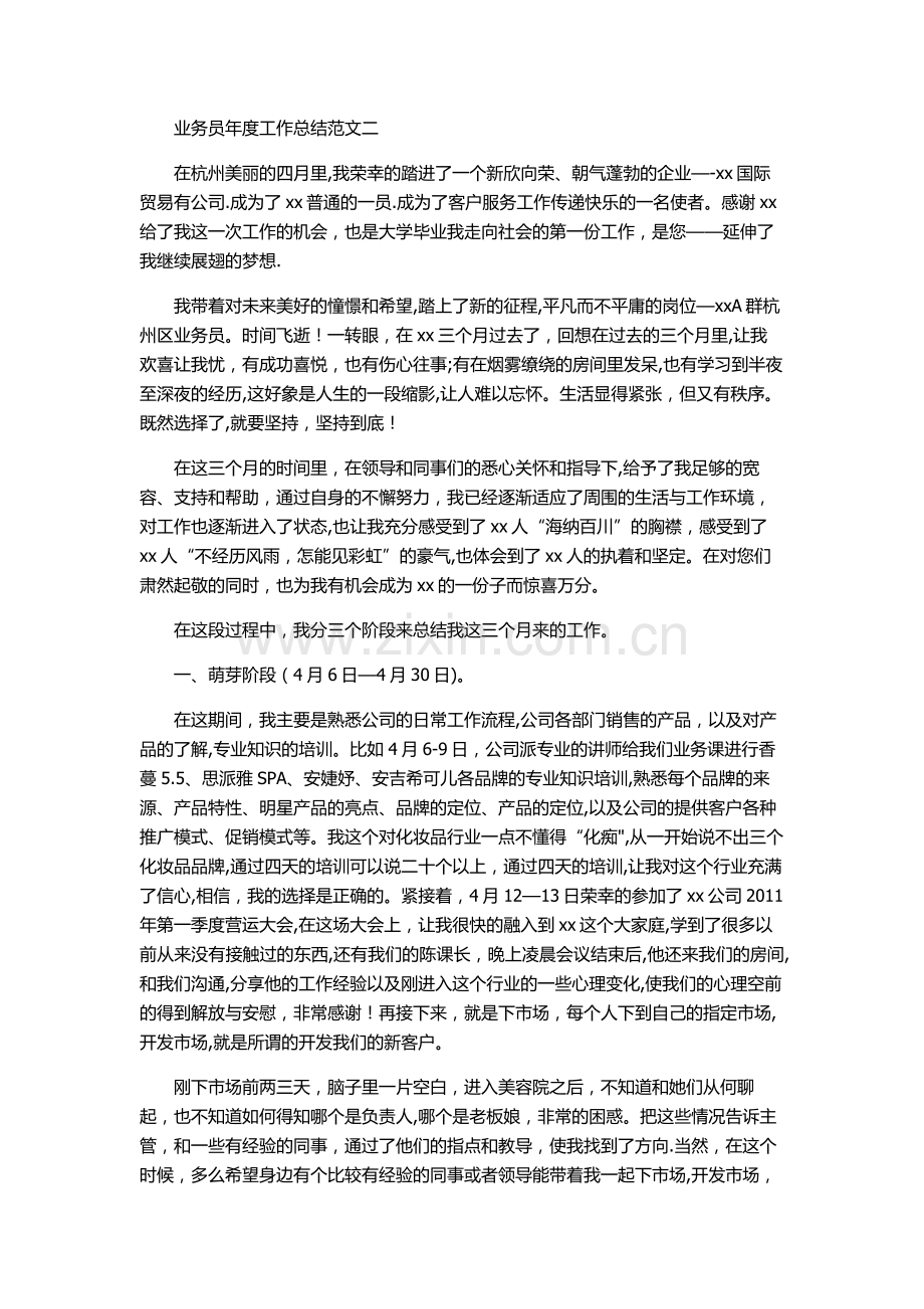 业务员年度工作总结讲解.doc_第2页